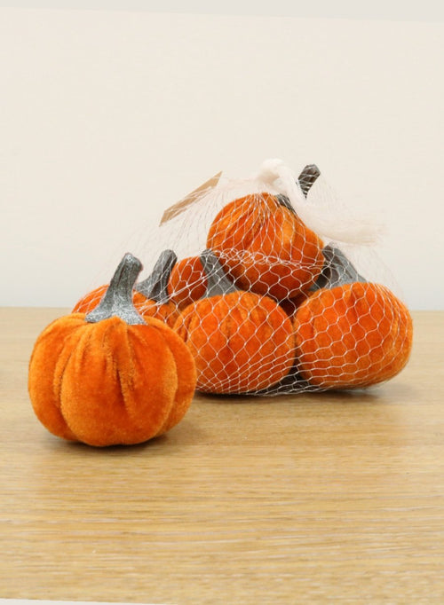 Velvet Pumpkin Bag (small)