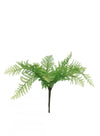 Lady Fern Bunch