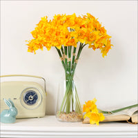 Ruffled Daffodil Bunch