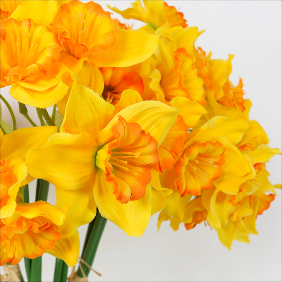 Ruffled Daffodil Bunch