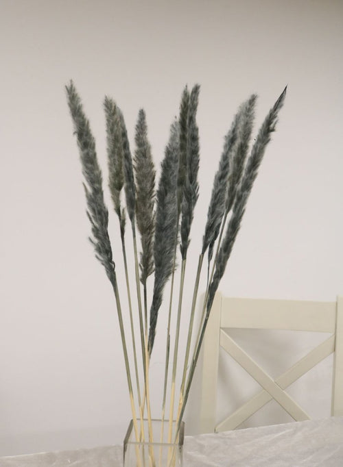 Reed Pampas Bunch (10x Stems)