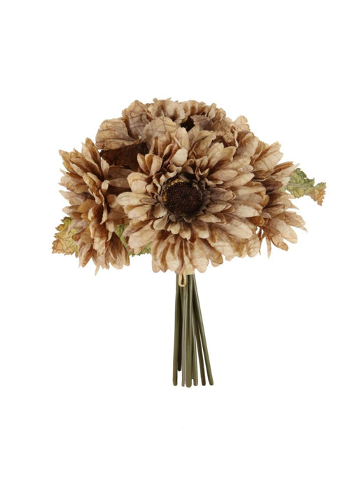 Dried Touch Gerbera Handtie (9x Flower Stems Per Bunch)