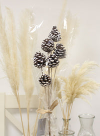 Sleeved Bunch Pine Cone Stems (6x Stems)