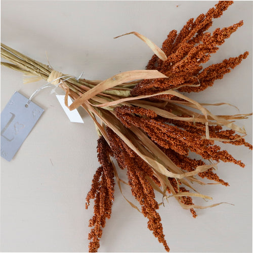 Dried Reed Wheat Bunch