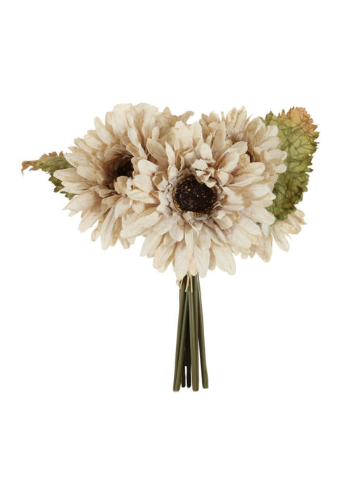 Dried Touch Gerbera Handtie (9x Flower Stems Per Bunch)