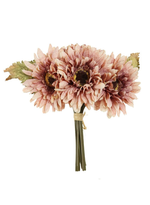 Dried Touch Gerbera Handtie (9x Flower Stems Per Bunch)