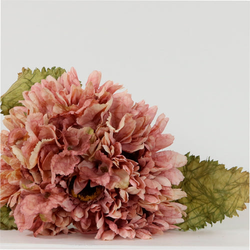 Dried Touch Gerbera Handtie (9x per Bunch)