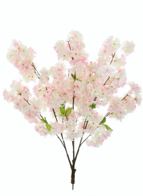 Cherry Blossom Branch