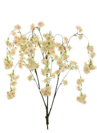 Weeping Cherry Blossom Branch