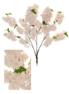 Cherry Blossom Branch