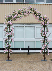 Rose Arch Tree (2.8m)