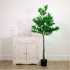 Laurel Tree 150cm