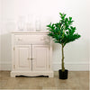 Laurel Tree 100cm