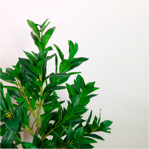 Laurel Tree 100cm