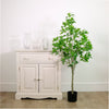 Japonica Tree 130cm