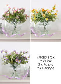 Zoie Arrangement Mix Box (qty 6)