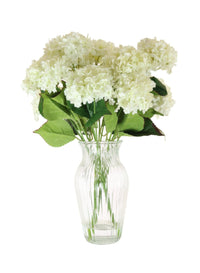 Fluffy Hydrangea Arrangement