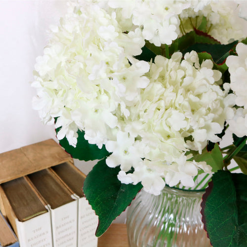 Fluffy Hydrangea Arrangement