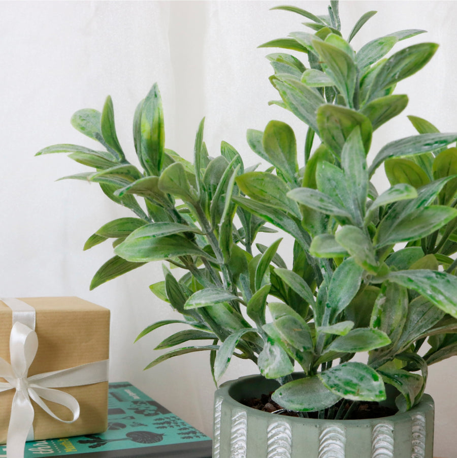 Flocked Leaf In Pot