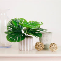 Potted Monstera Arrangement (small)