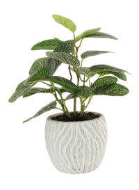 Potted Soft Vein Leaf Arrangement (small)