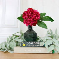 BOGOF Peony & Ball Vase Arrangement