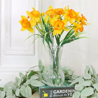 Ruffled Daffodil in Trumpet Vase