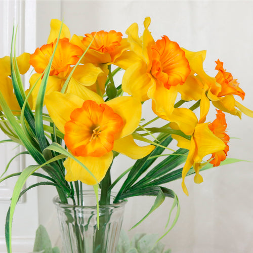 Ruffled Daffodil in Trumpet Vase