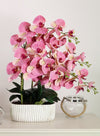 Phalaenopsis In Oblong Pot Arrangement