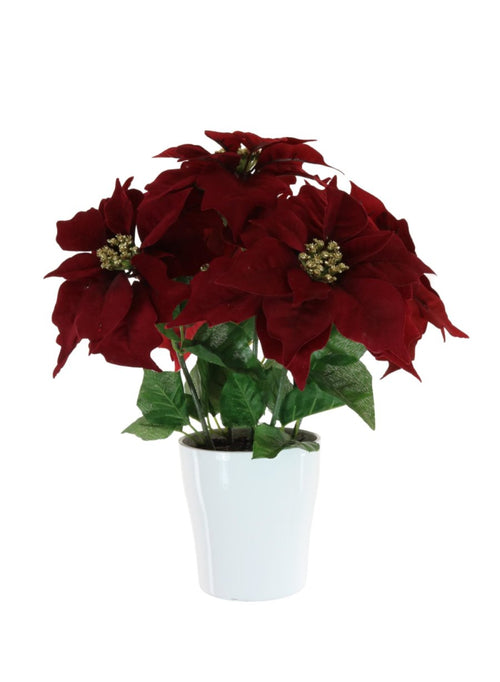 Complete Xmas Arrangement <br/>no: 187