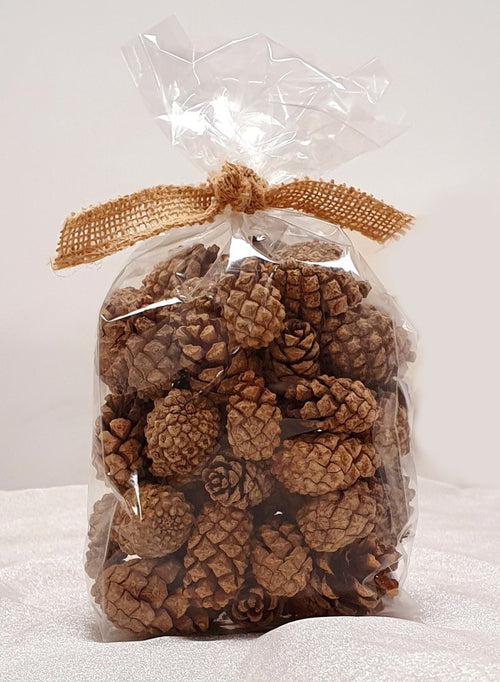 Pinecones (in A Bag)