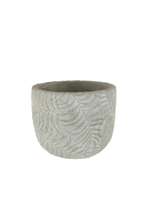 Fern Clay Pot (7cm)