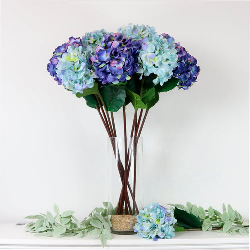 Mophead Hydrangea (large)