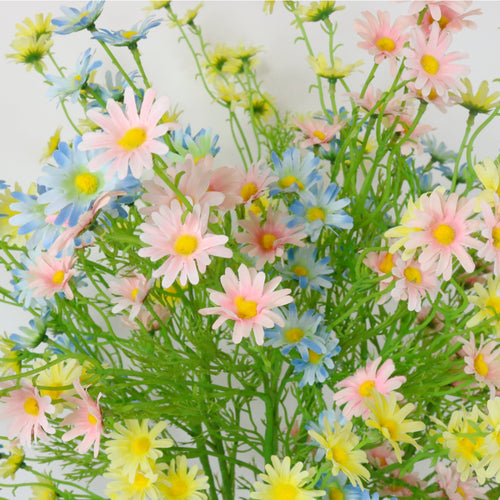 Aster Daisy Spray