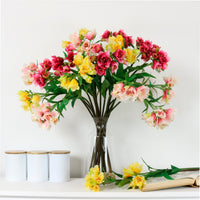 Alstroemeria (premium)