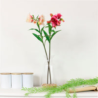 Alstroemeria (premium)