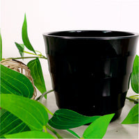 Ribbed Plastic Pots (8.5cm)