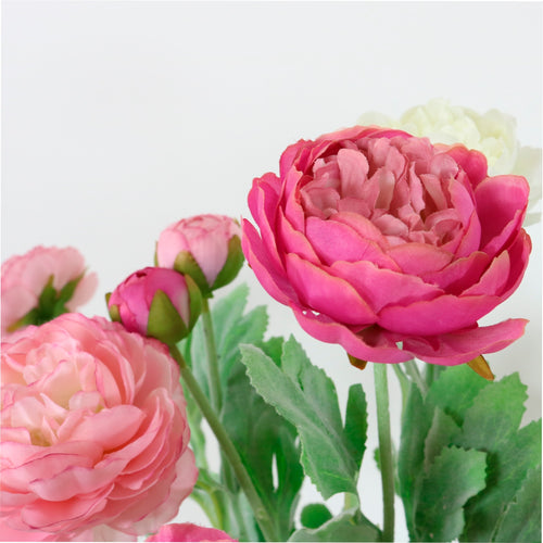 Ranunculus Spray