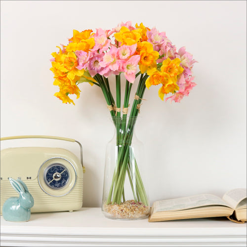 Ruffled Daffodil Bunch