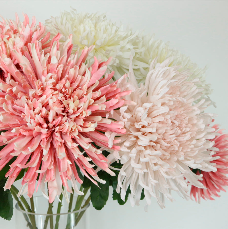 Fuji Mum