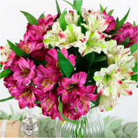 Alstroemeria (small)