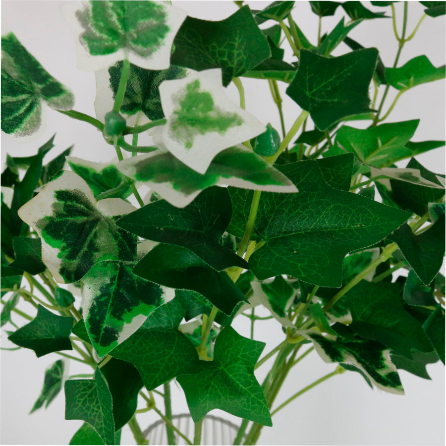 Ivy Stem (small)