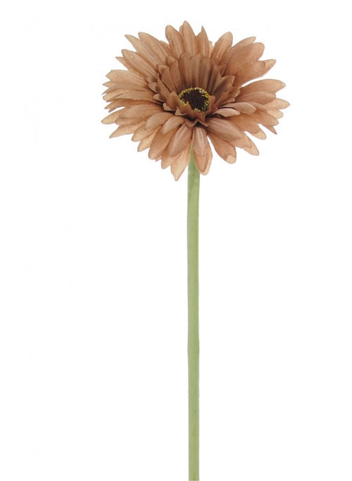 Single Gerbera (small)