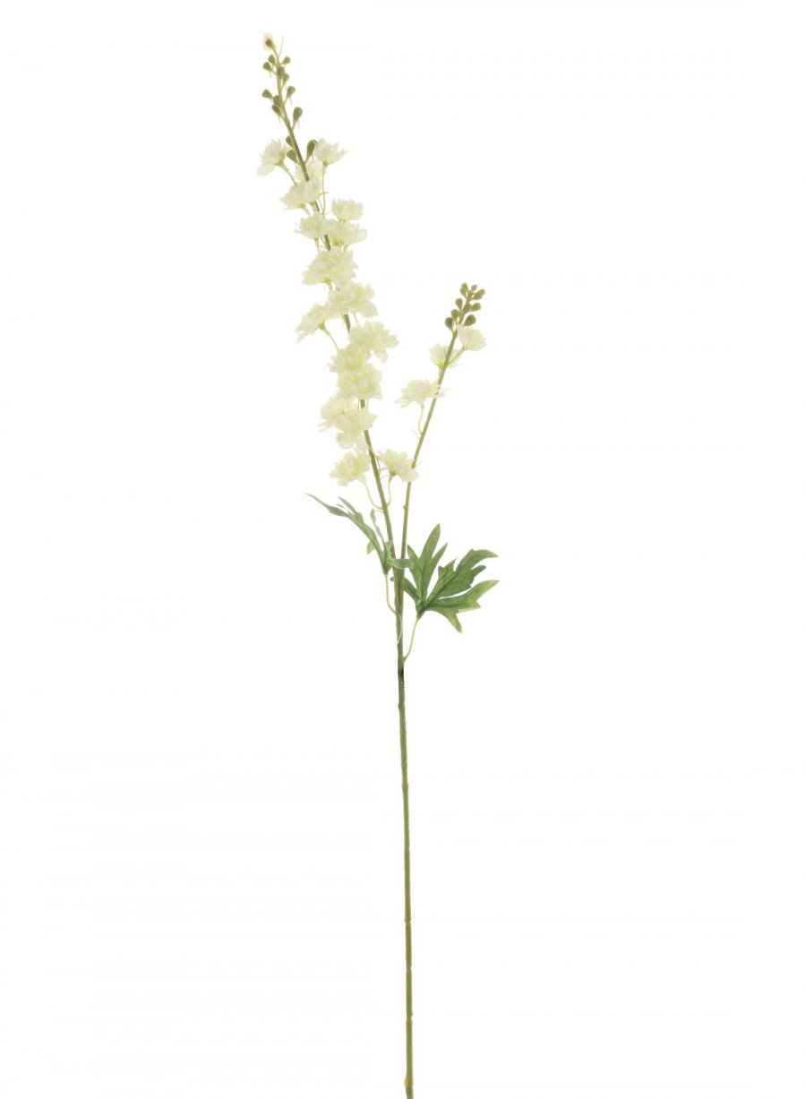 Slim Stock (Delphinium)