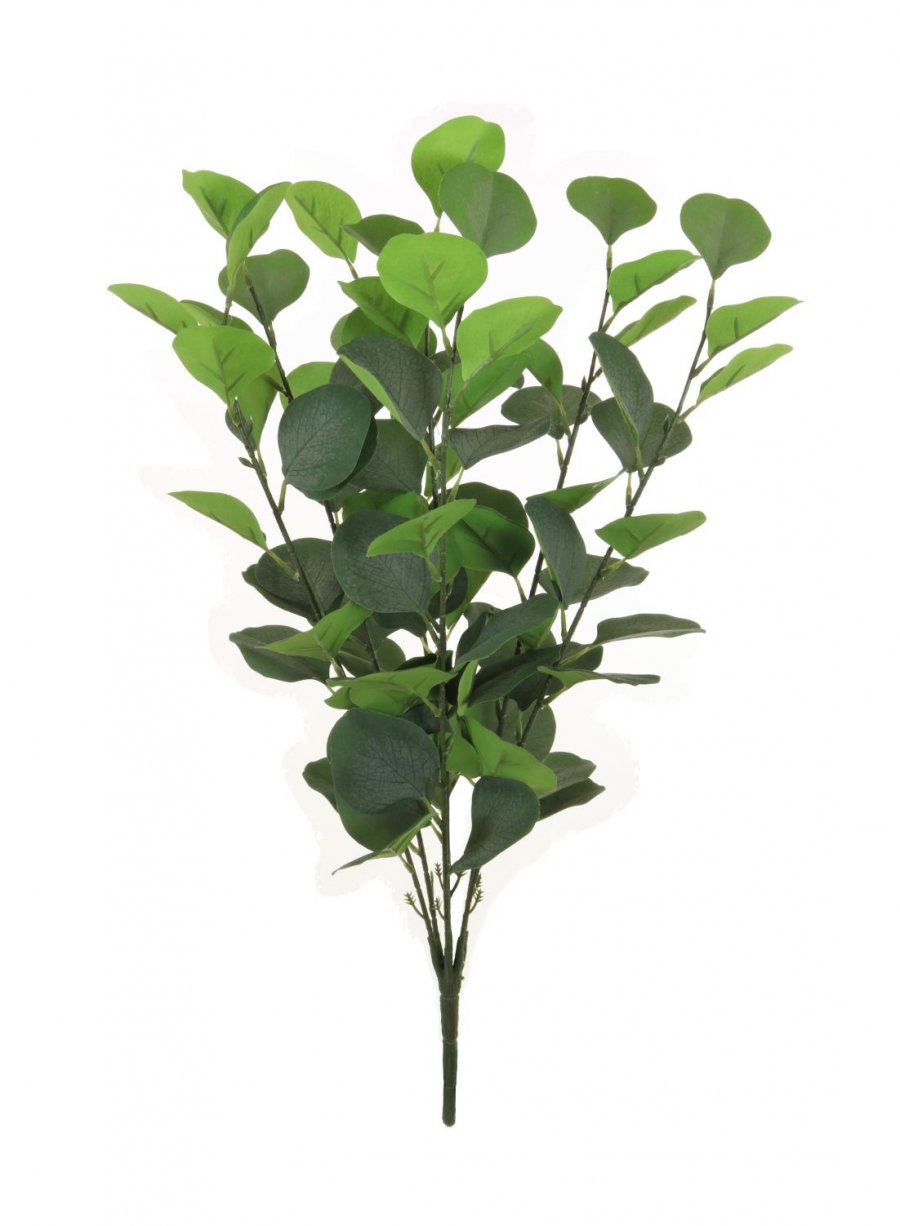 Silver Dollar Eucalyptus Bunch (Large)