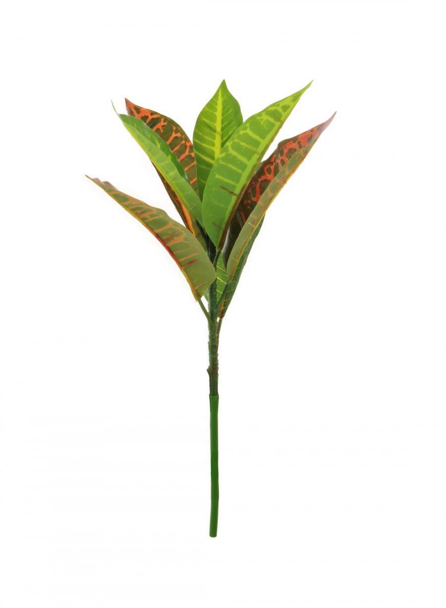 Tropical Calathea Stem (Small)