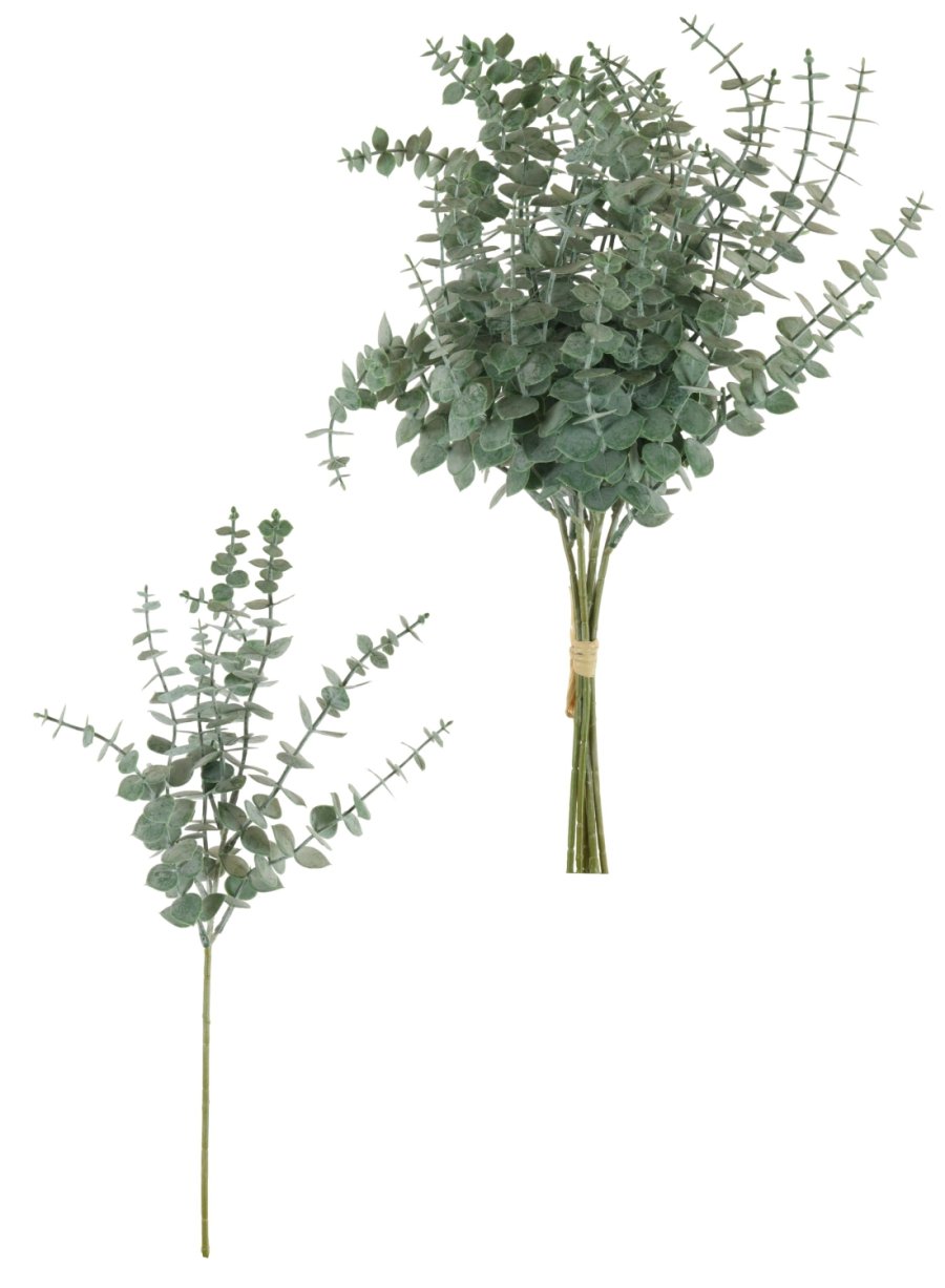 Mini Pointed Eucalyptus Sprig (5x Sprigs)