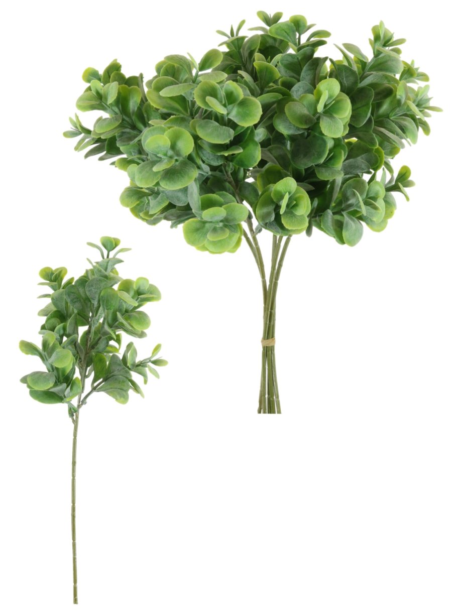 Sweetheart Hoya Sprig (5x Sprigs)