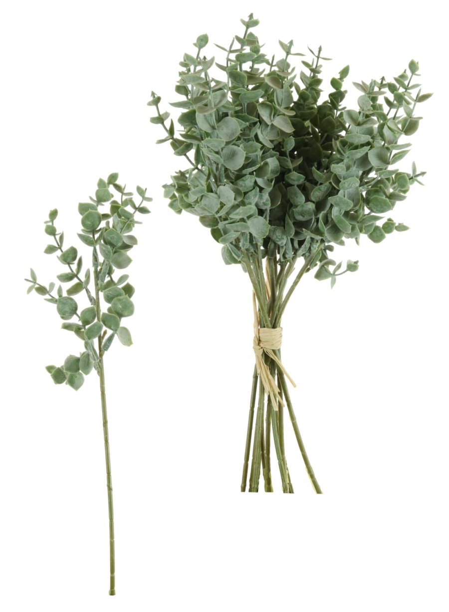 Mini Euc Sprig (10x Sprigs)