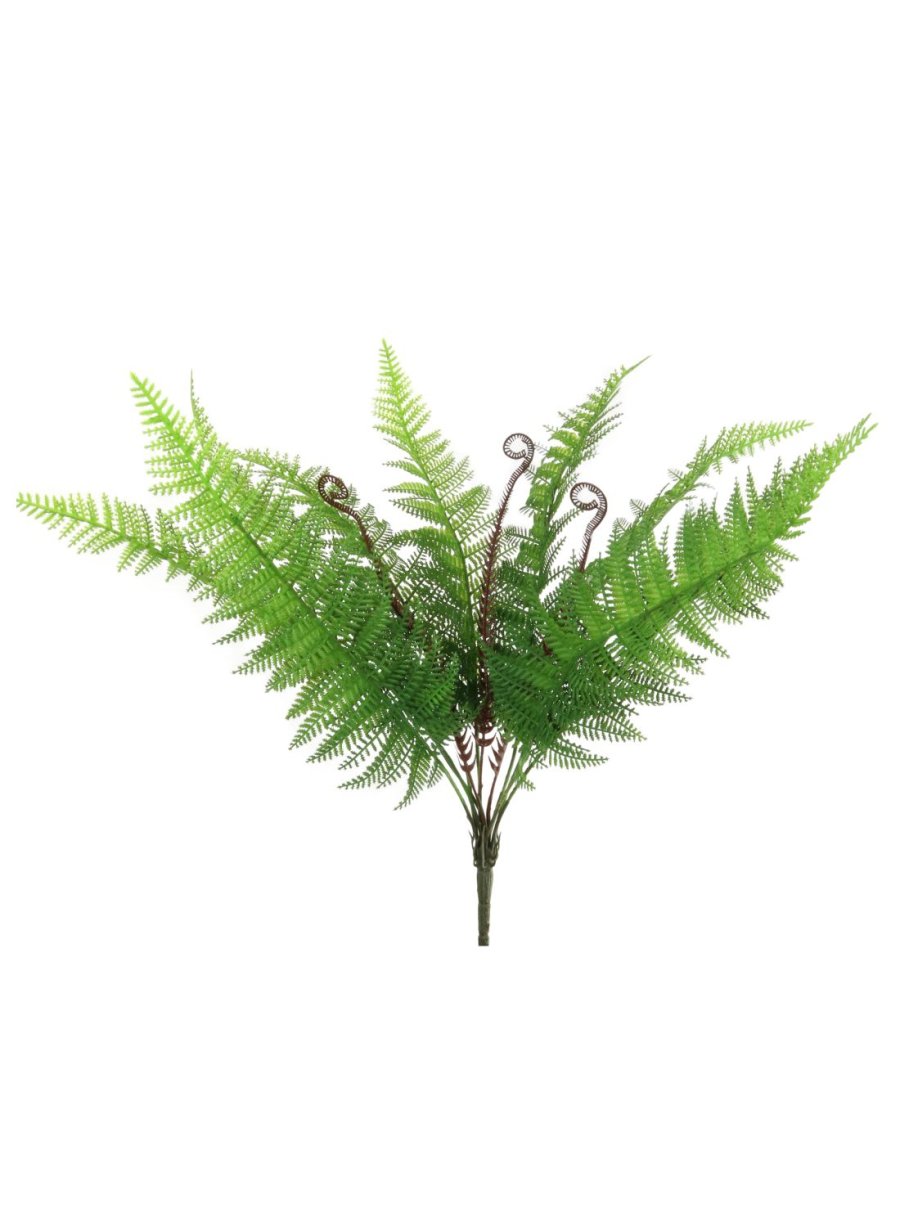 Persian Fern Bunch